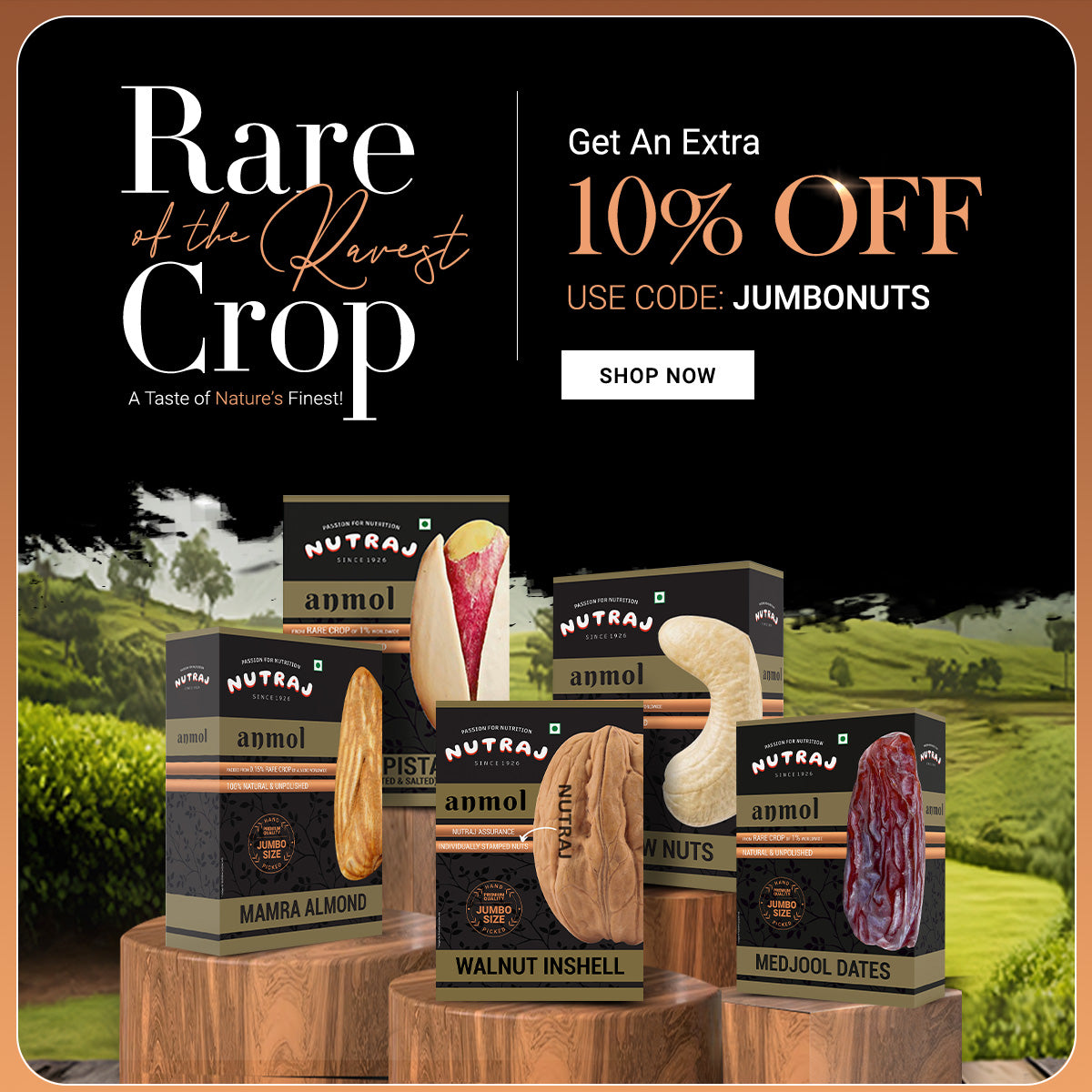 Payday Sale